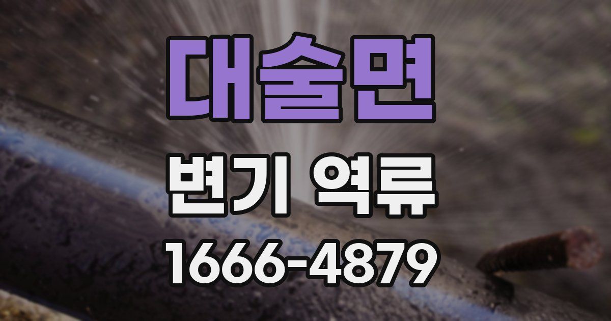 대술면 변기 역류