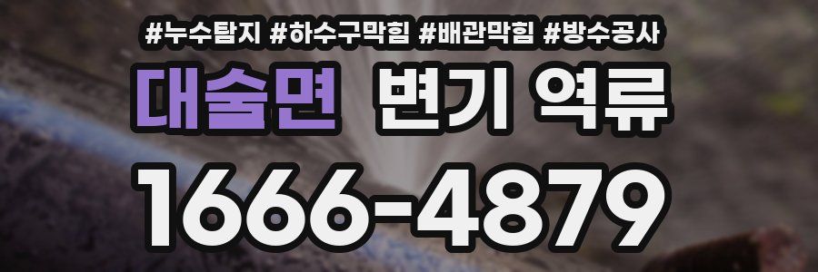 대술면 변기 역류
