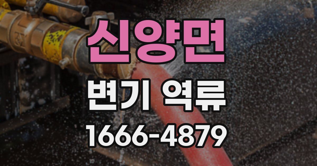 신양면 변기 역류