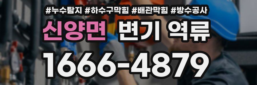 신양면 변기 역류