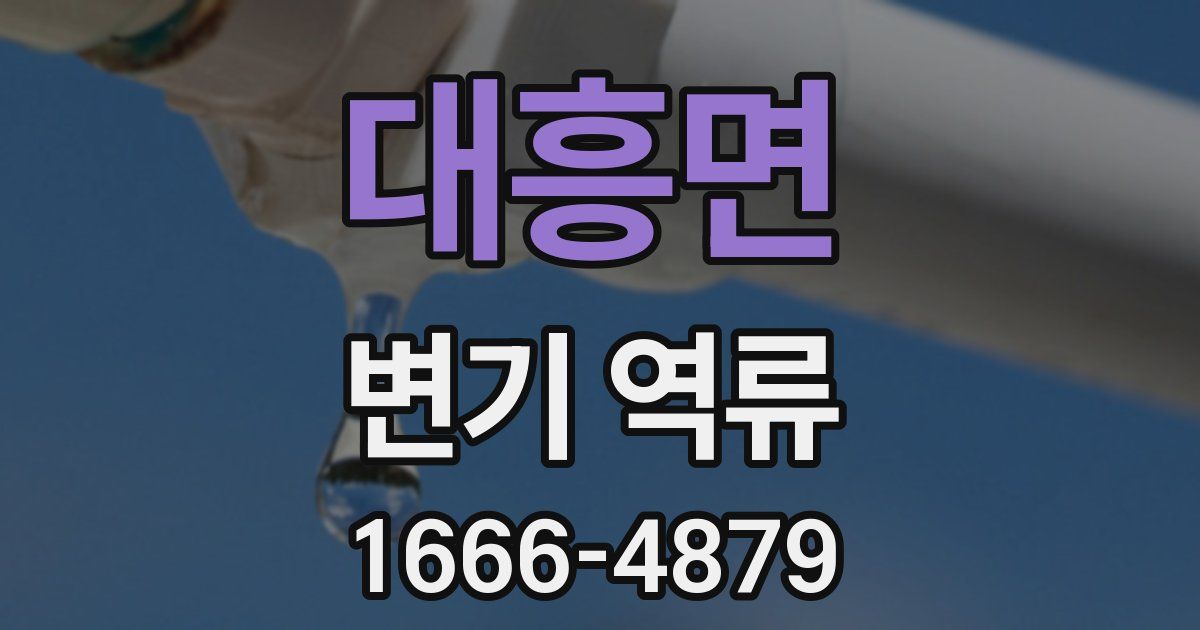 대흥면 변기 역류