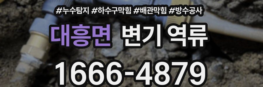 대흥면 변기 역류