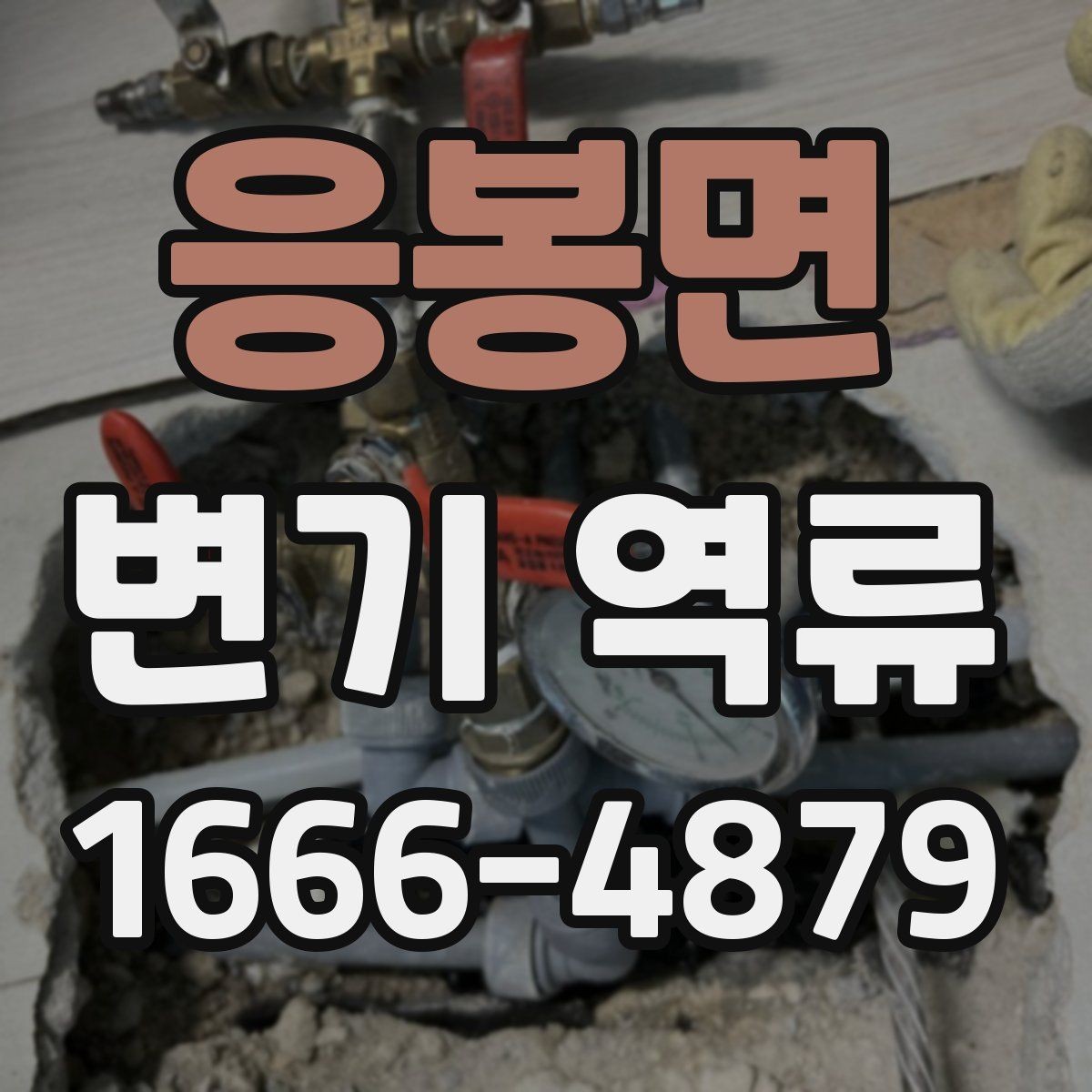 응봉면 변기 역류 물이 한 번에 빠지지 않을 때 보는 곳