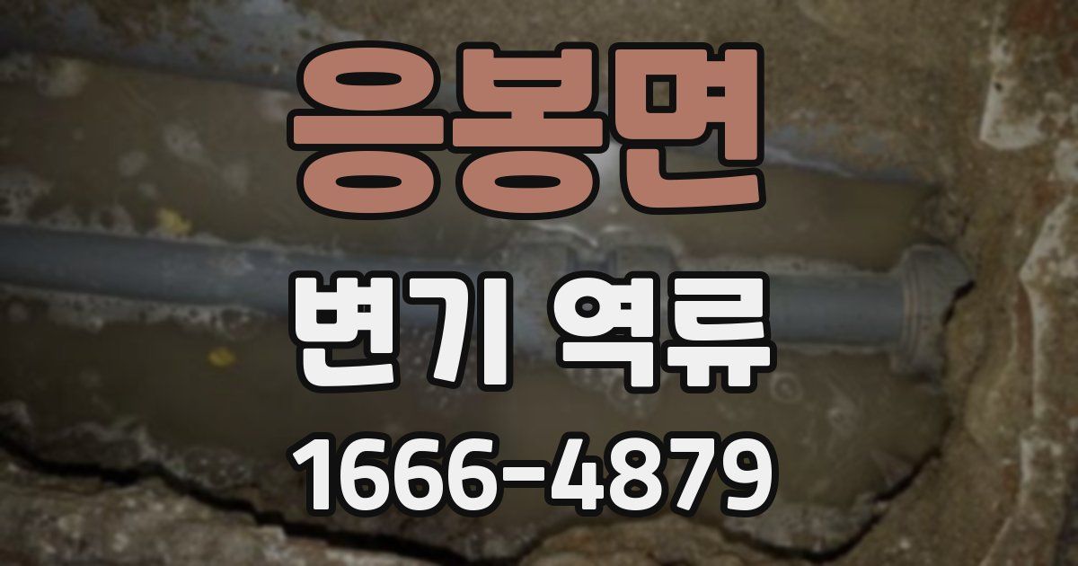 응봉면 변기 역류