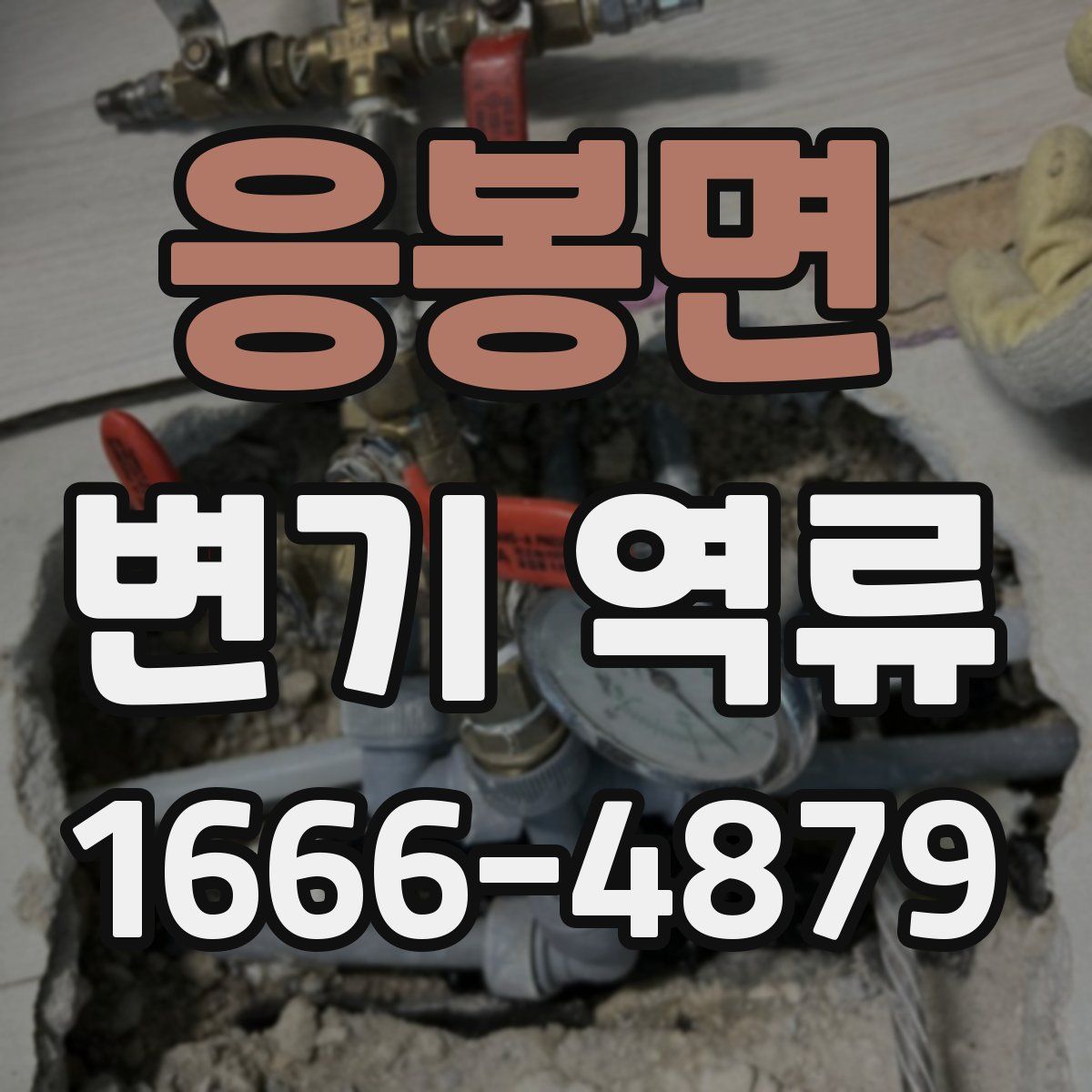 응봉면 변기 역류