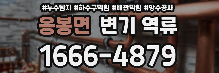 응봉면 변기 역류