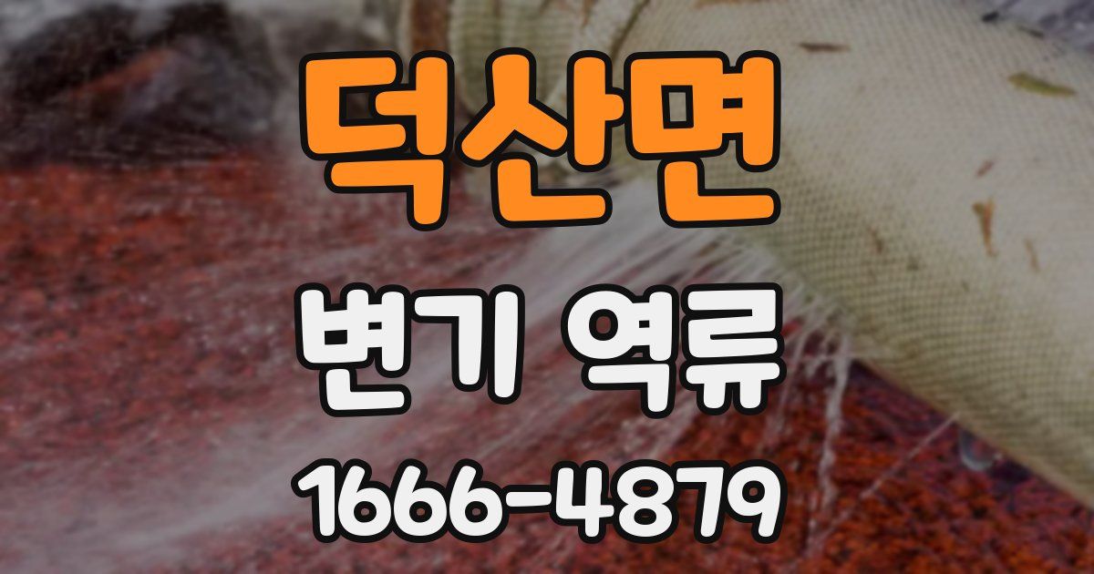 덕산면 변기 역류