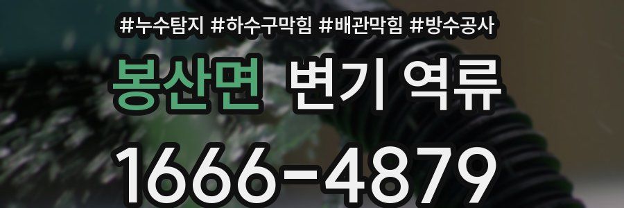 봉산면 변기 역류