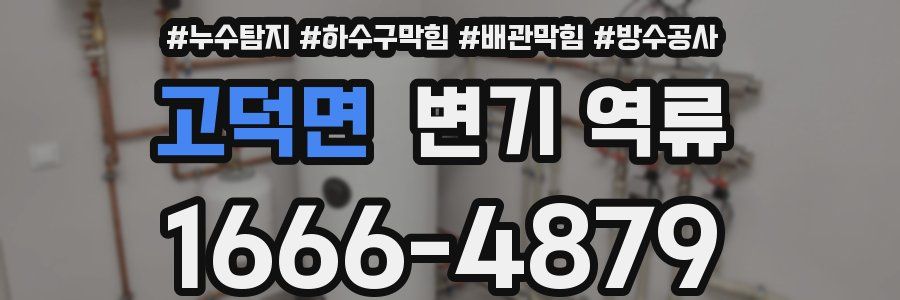 고덕면 변기 역류