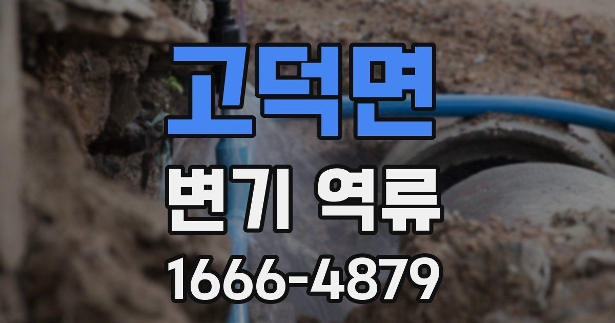 고덕면 변기 역류