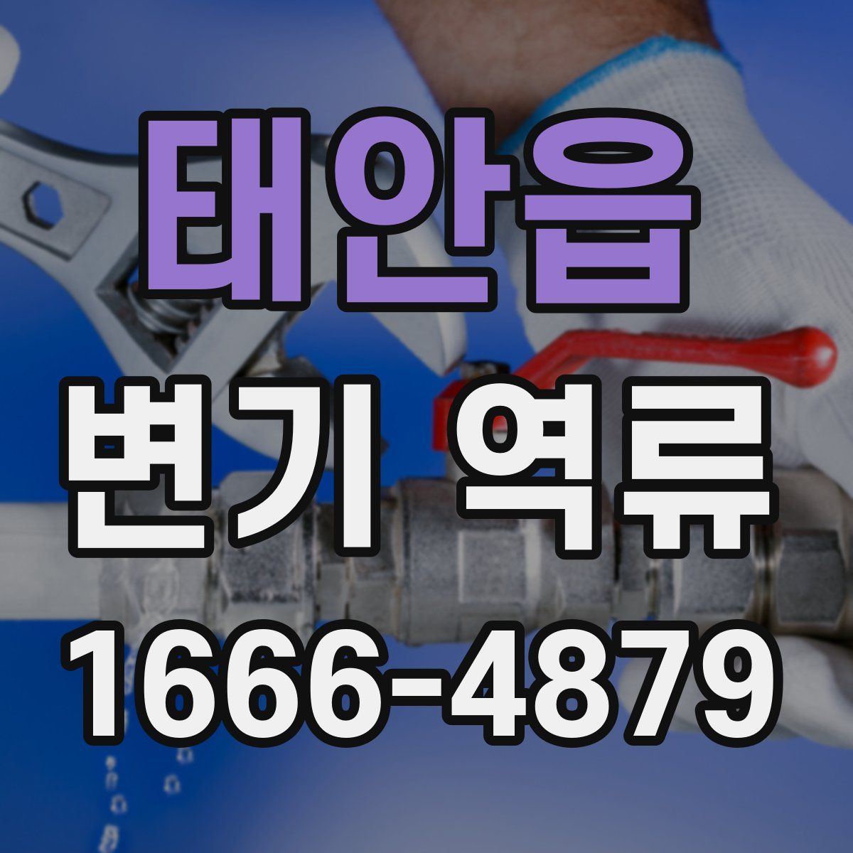 태안읍 변기 역류