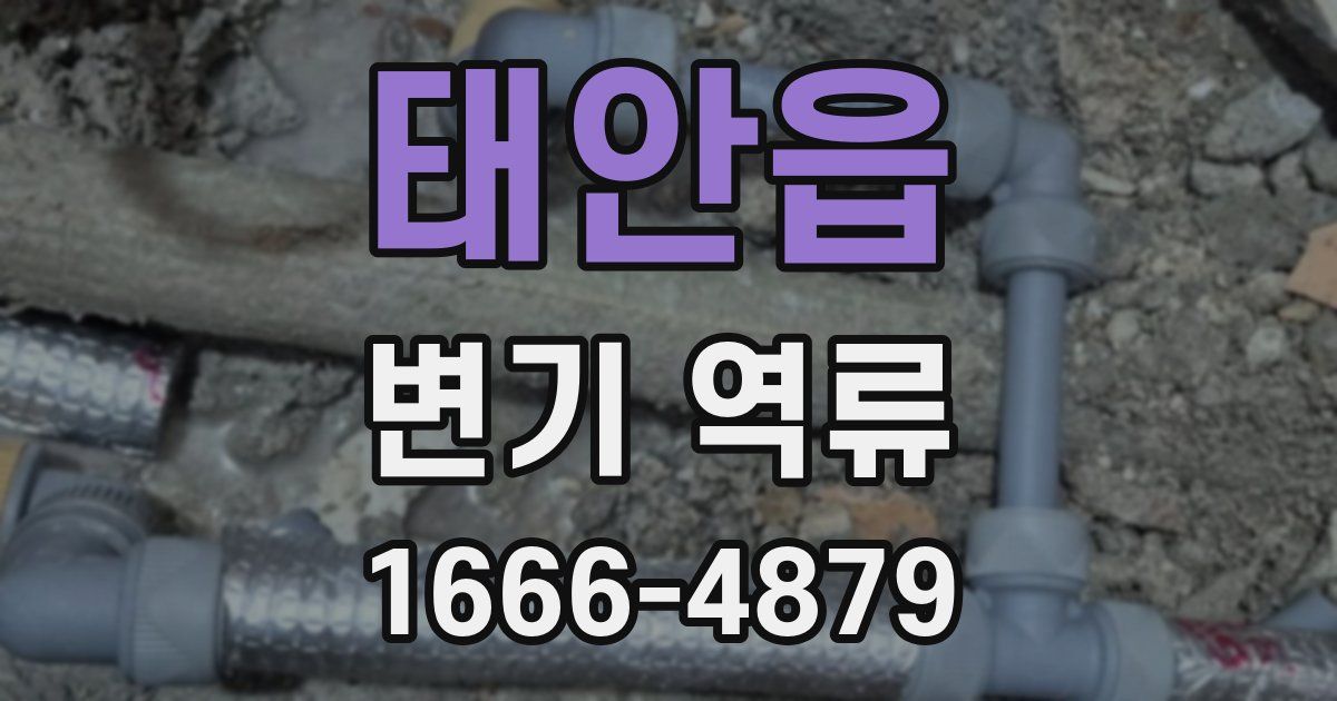 태안읍 변기 역류
