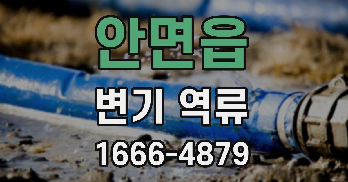 안면읍 변기 역류