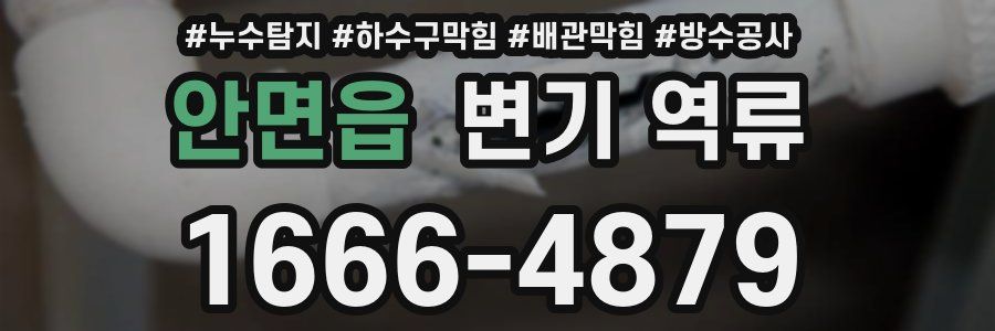 안면읍 변기 역류
