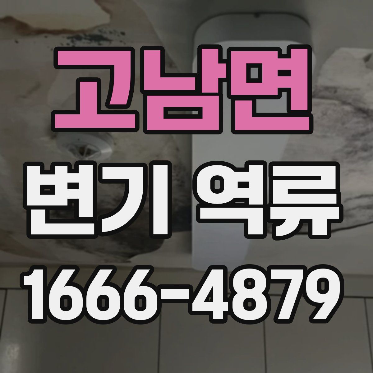 고남면 변기 역류