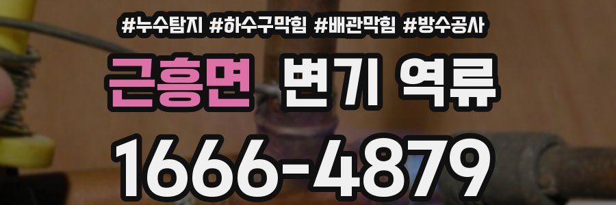 근흥면 변기 역류
