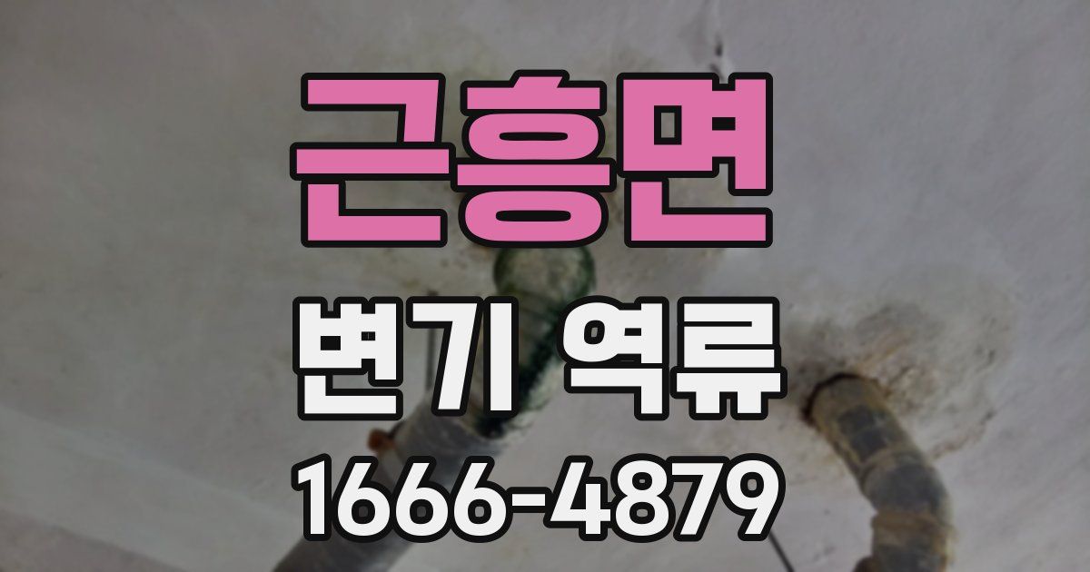 근흥면 변기 역류