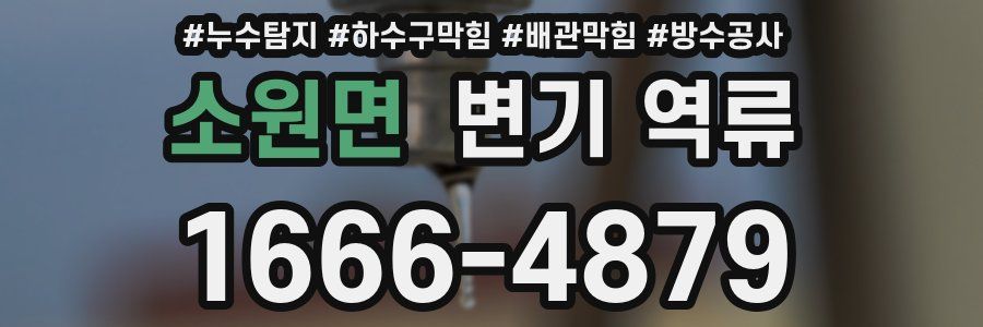 소원면 변기 역류