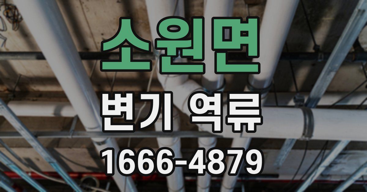 소원면 변기 역류