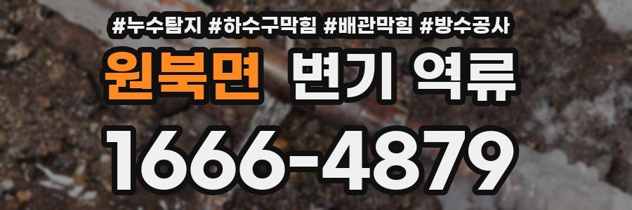 원북면 변기 역류
