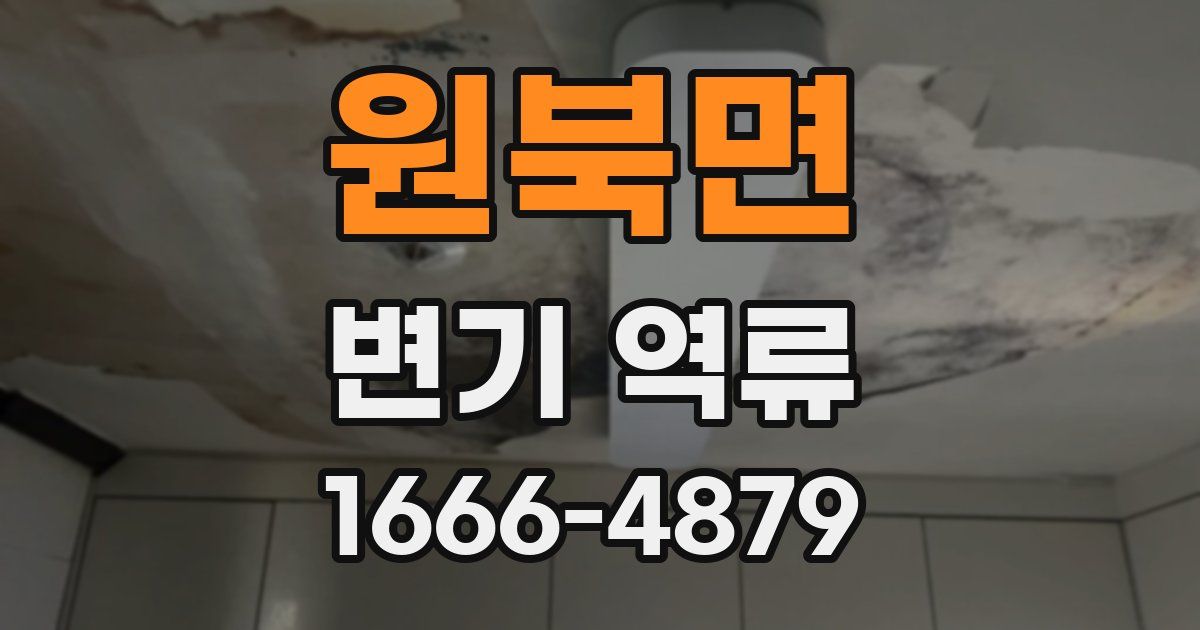원북면 변기 역류