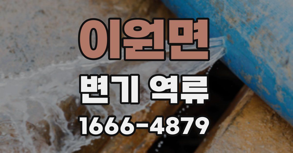 이원면 변기 역류