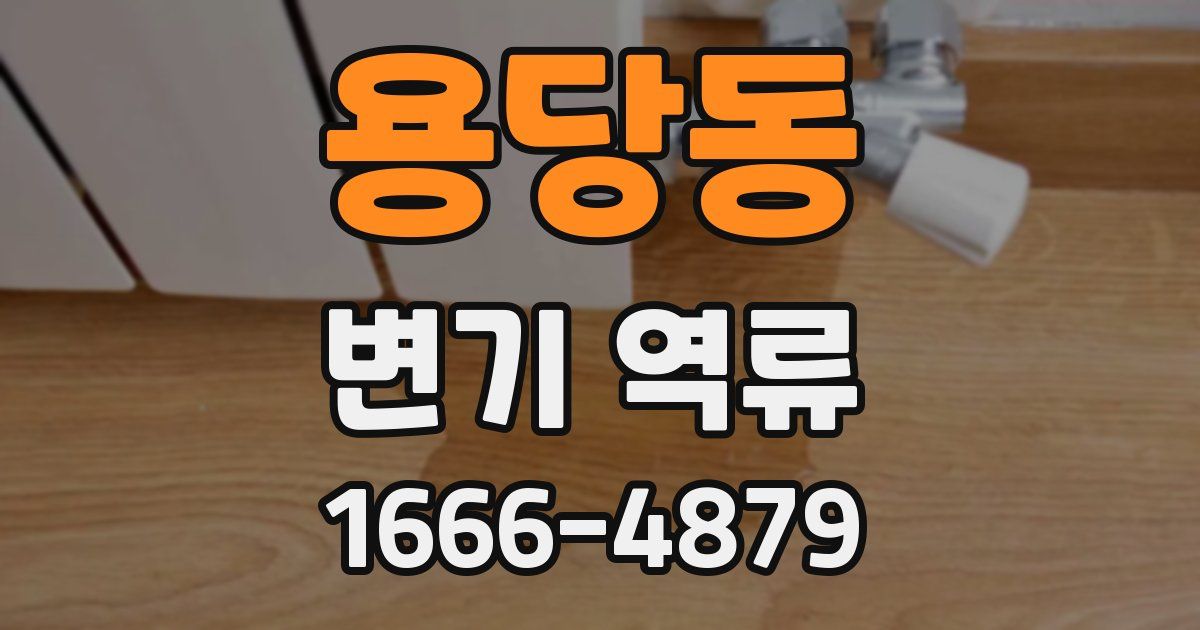 용당동 변기 역류