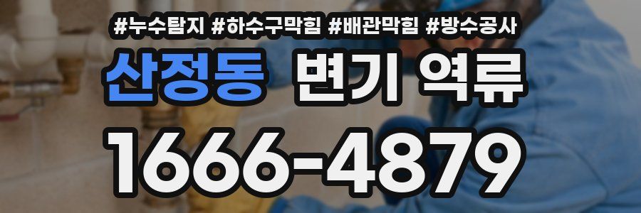 산정동 변기 역류