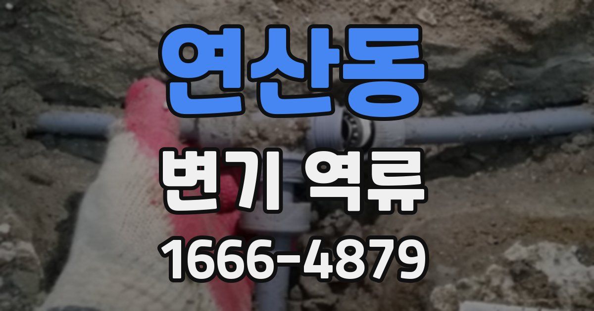 연산동 변기 역류