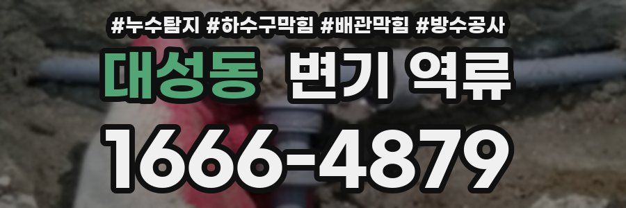 대성동 변기 역류