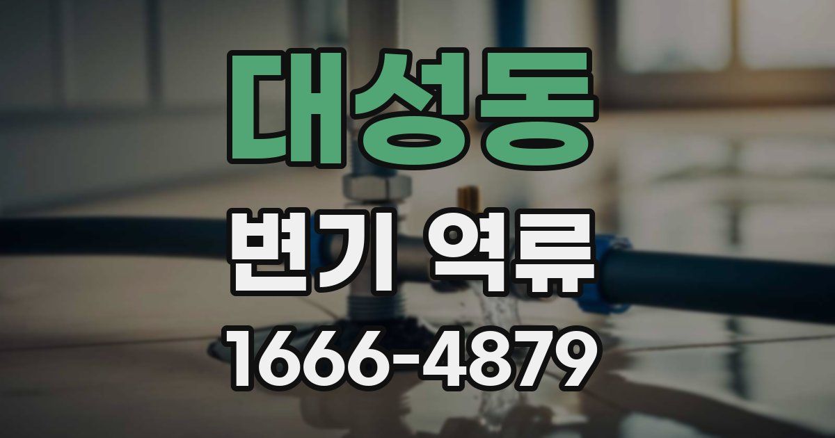 대성동 변기 역류