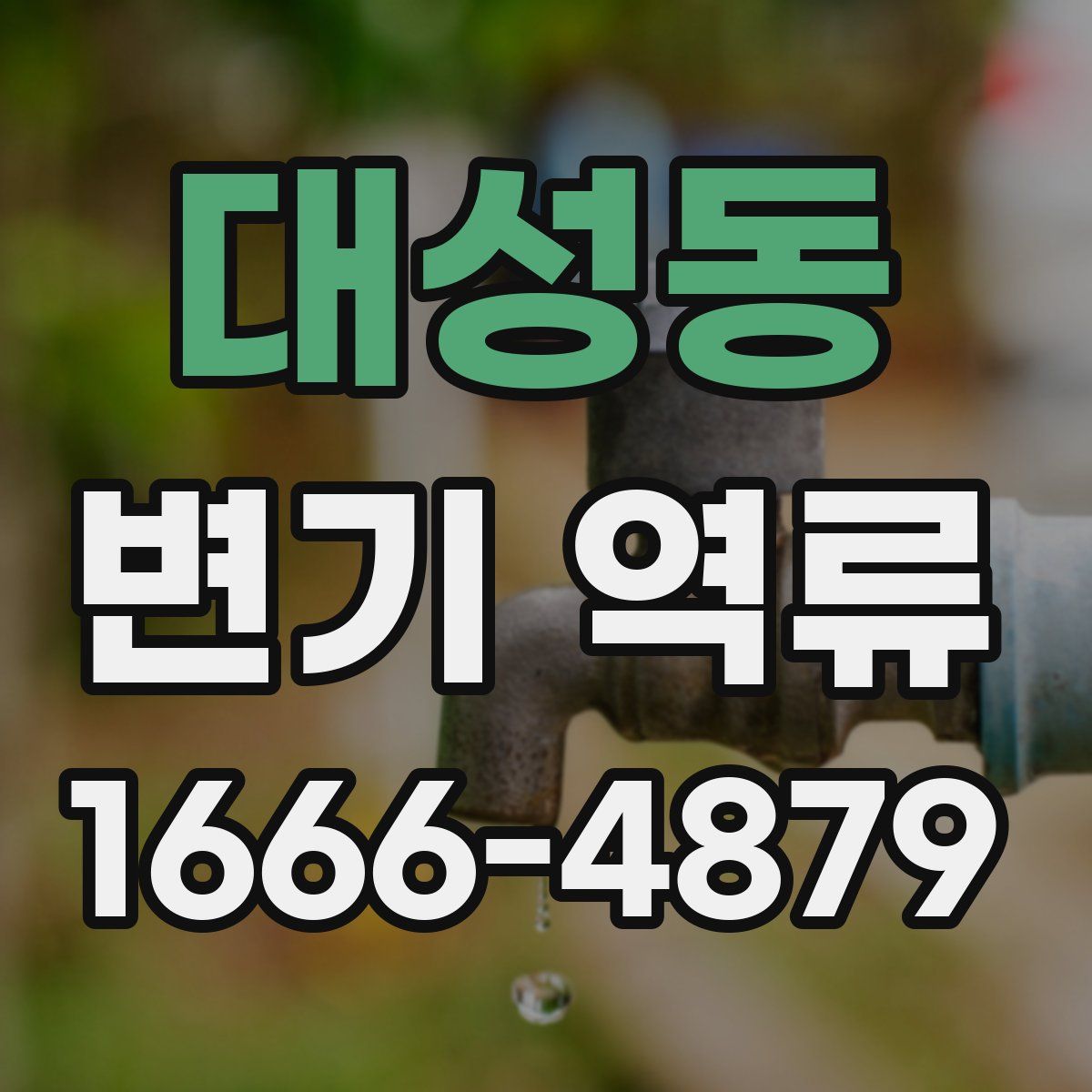대성동 변기 역류