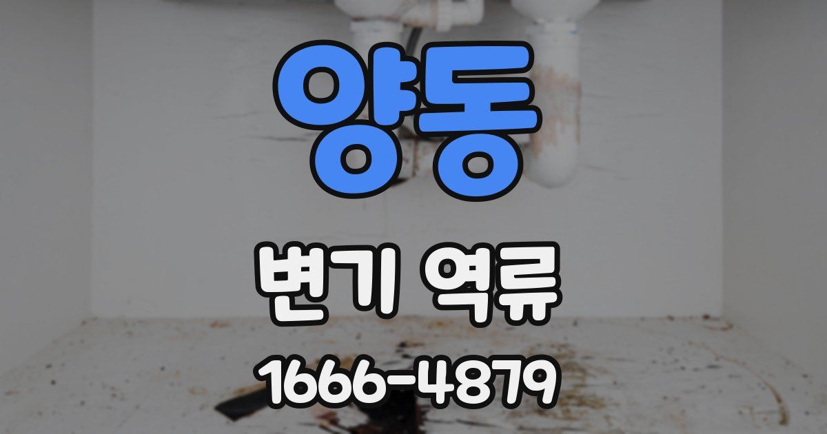 양동 변기 역류