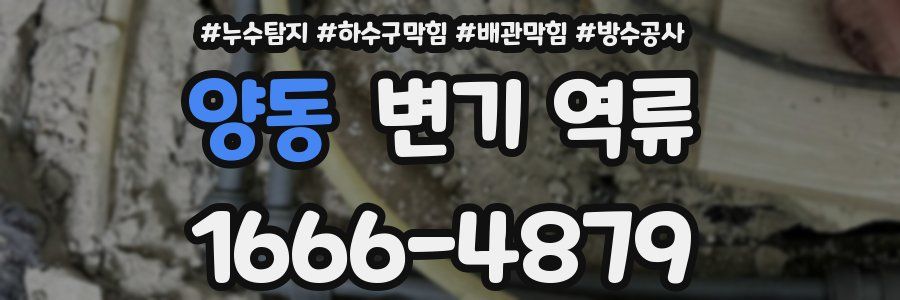 양동 변기 역류