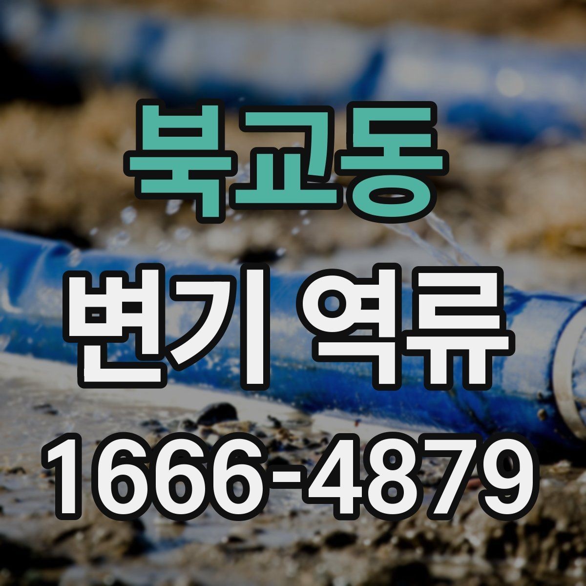 북교동 변기 역류 변기 주변 누수와 함께 나타나면