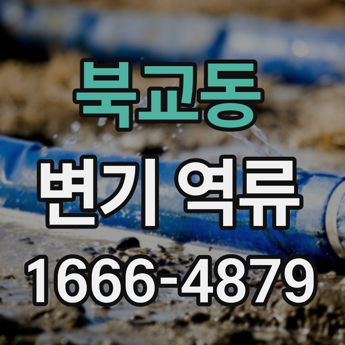 북교동 변기 역류