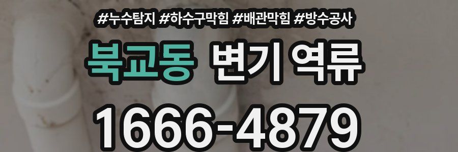 북교동 변기 역류