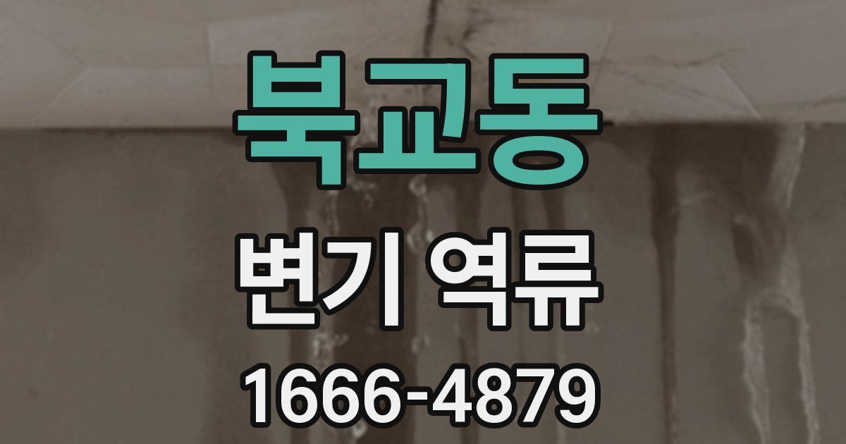 북교동 변기 역류