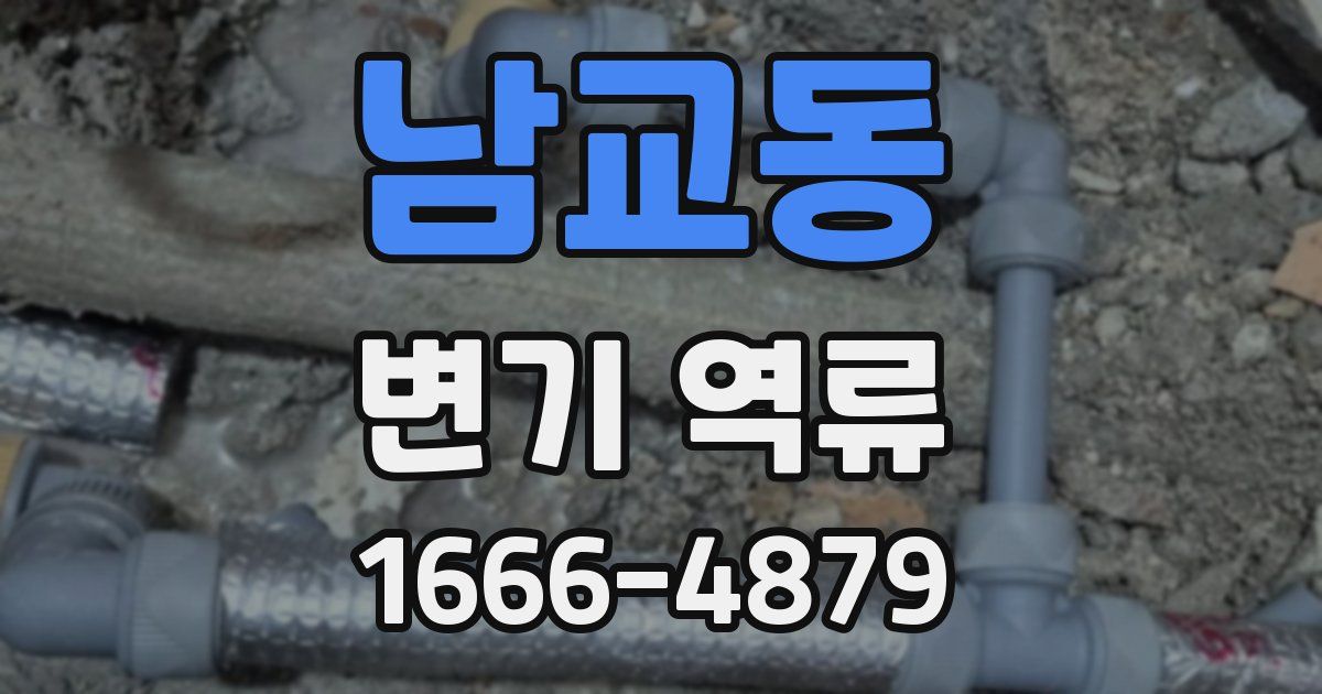 남교동 변기 역류