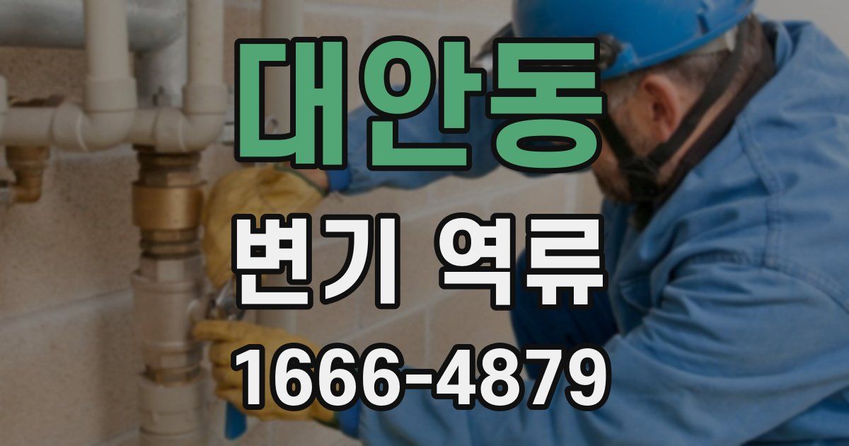대안동 변기 역류