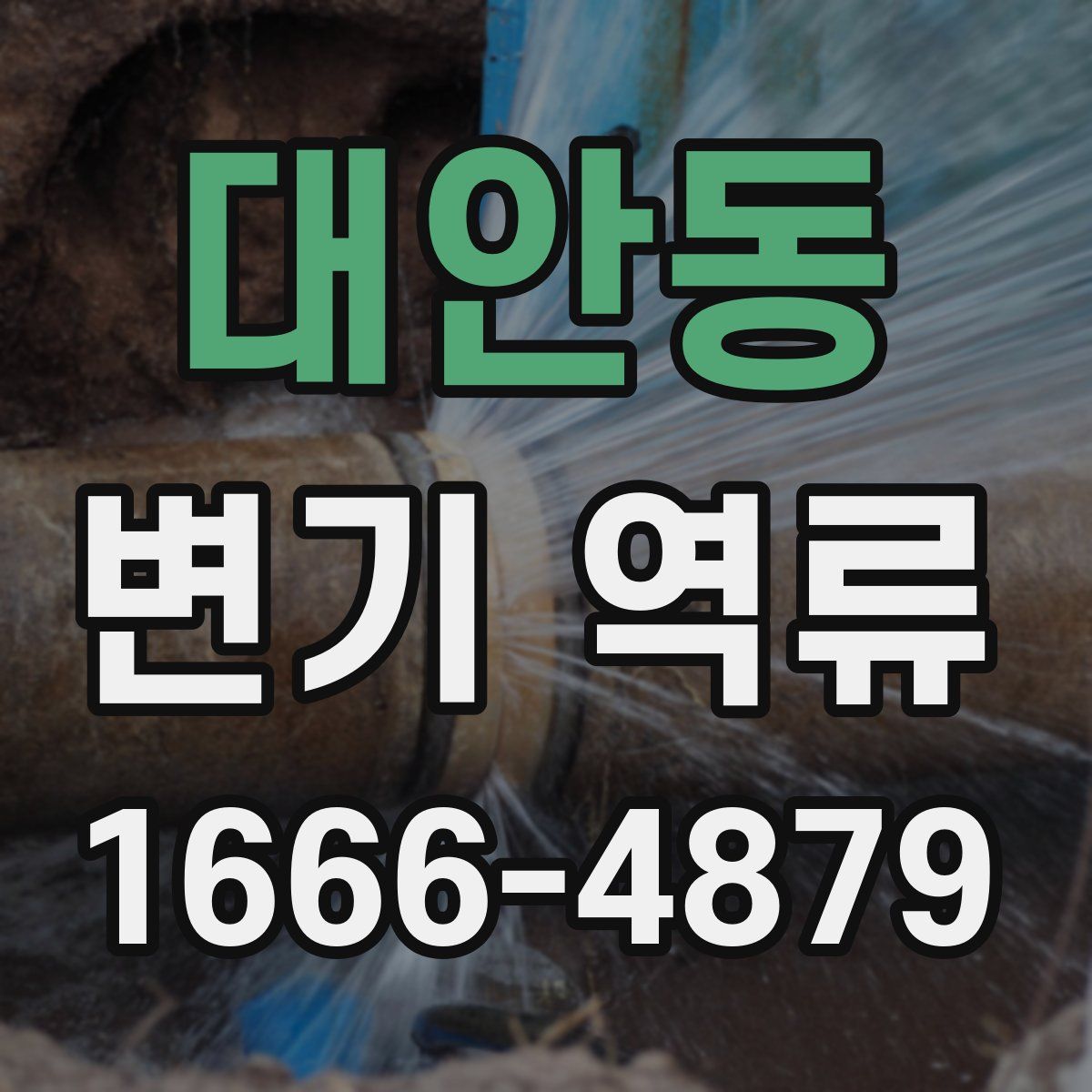 대안동 변기 역류