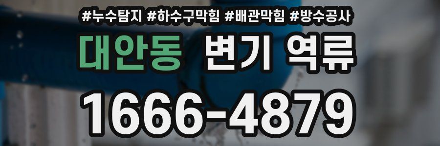 대안동 변기 역류