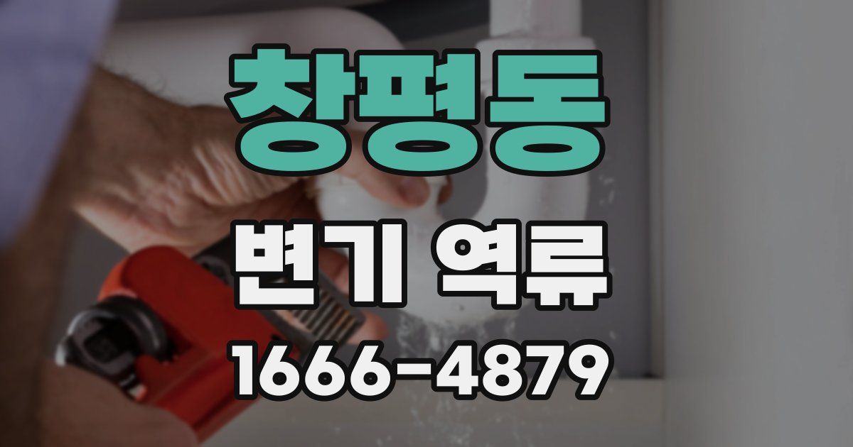 창평동 변기 역류