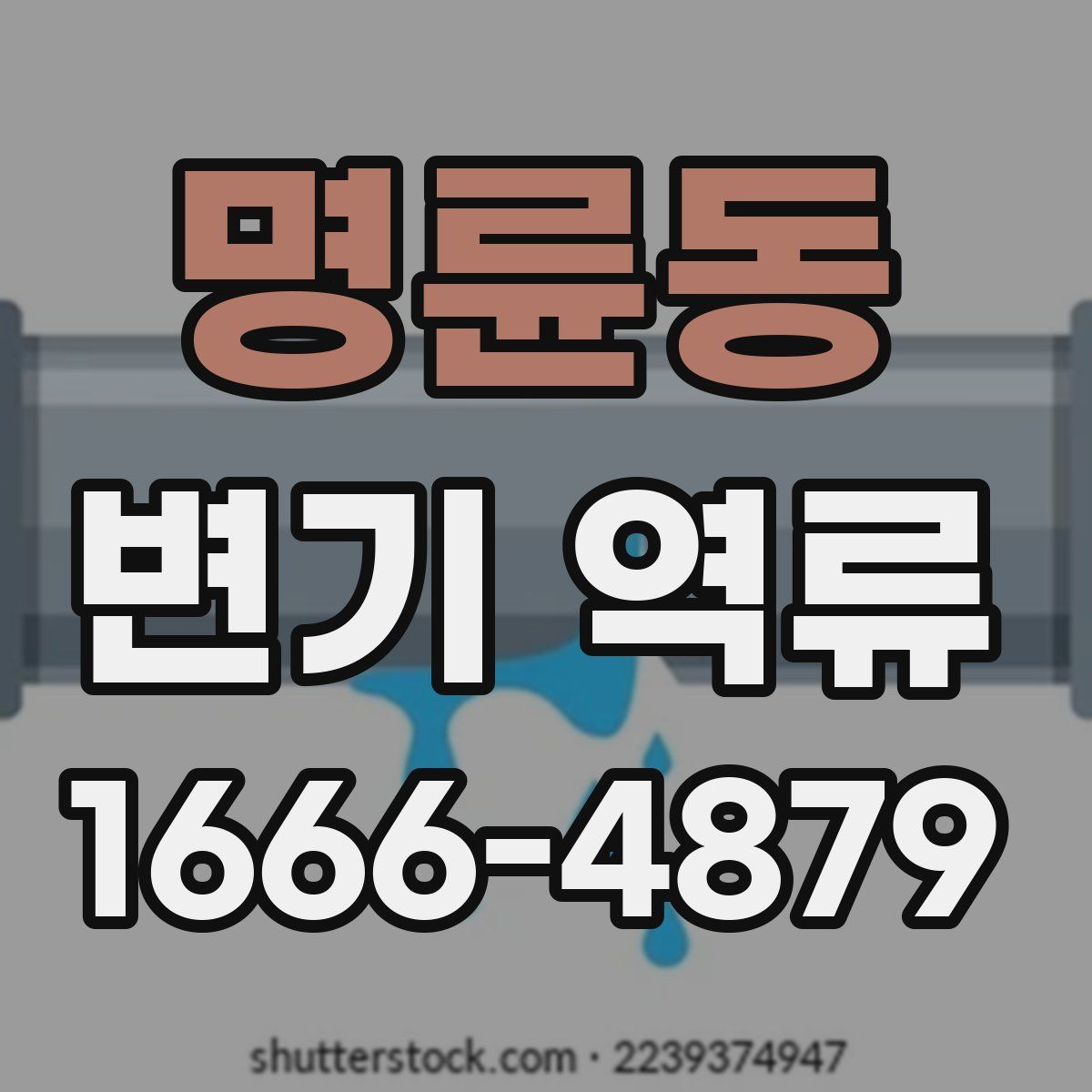 명륜동 변기 역류