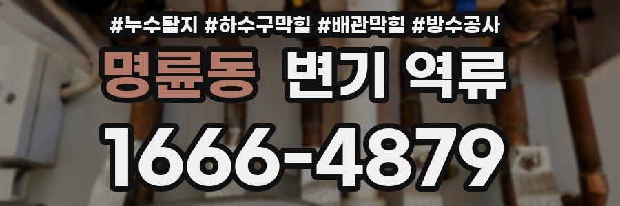 명륜동 변기 역류
