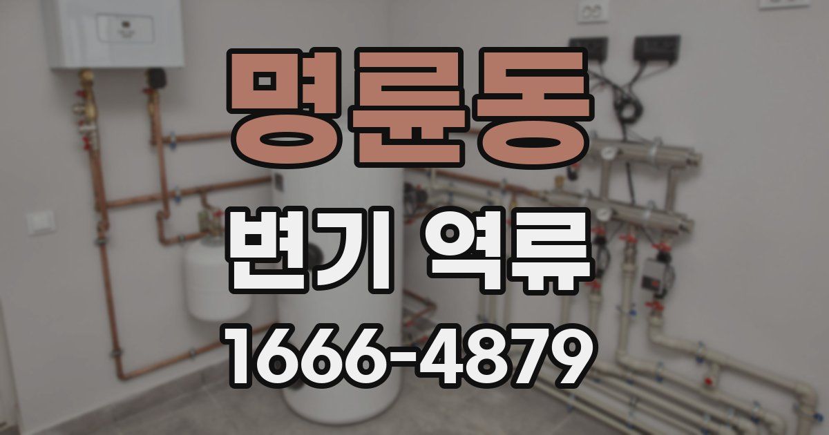 명륜동 변기 역류