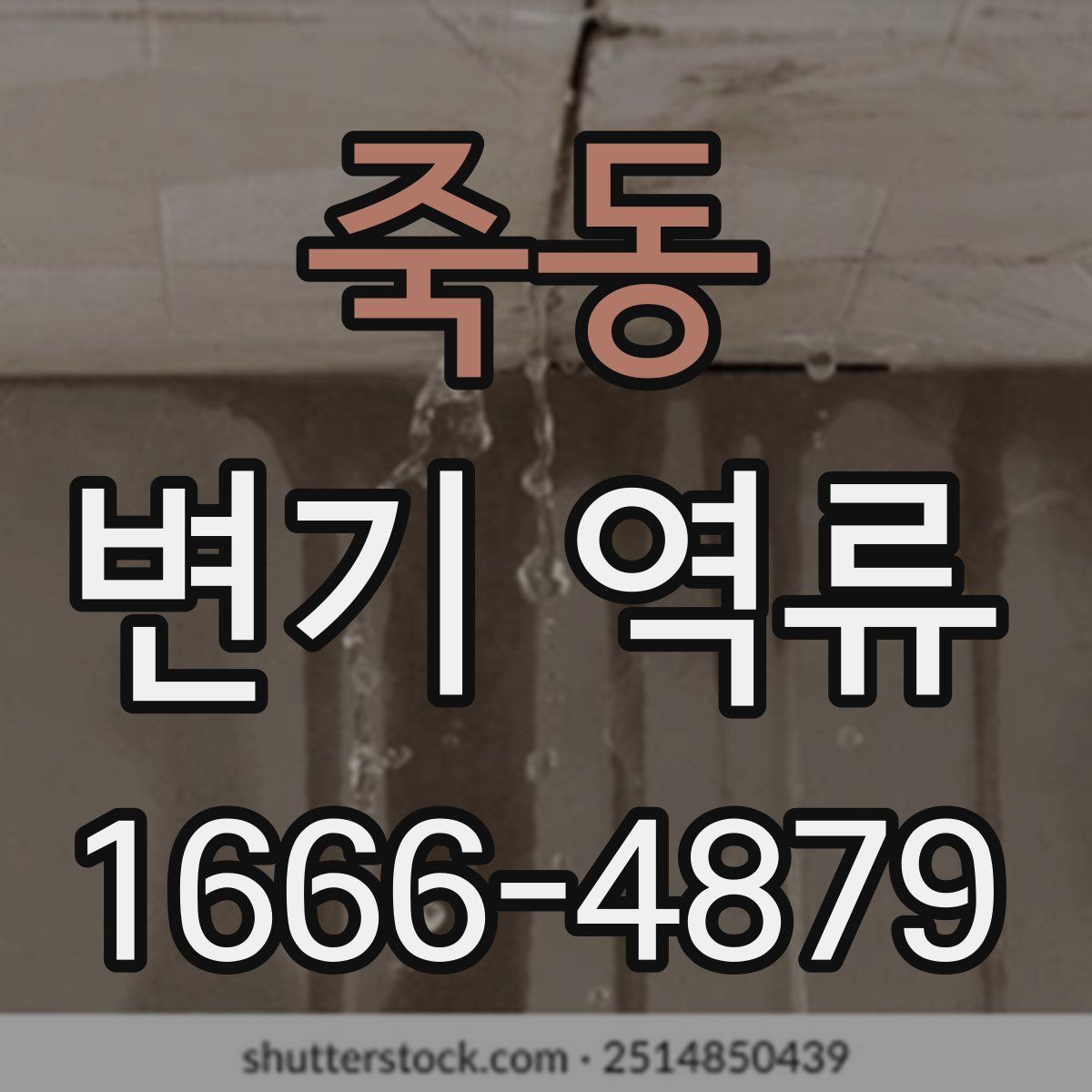 죽동 변기 역류