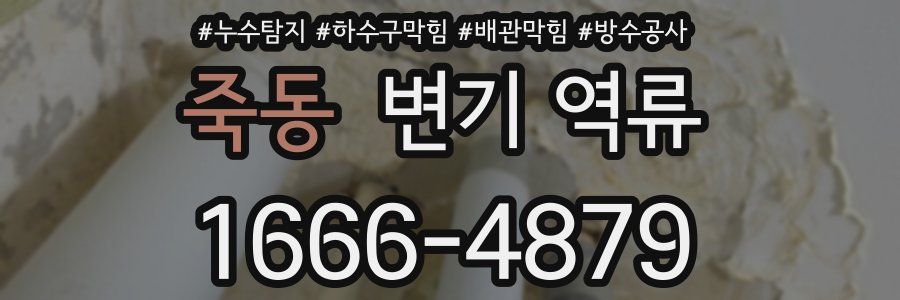 죽동 변기 역류
