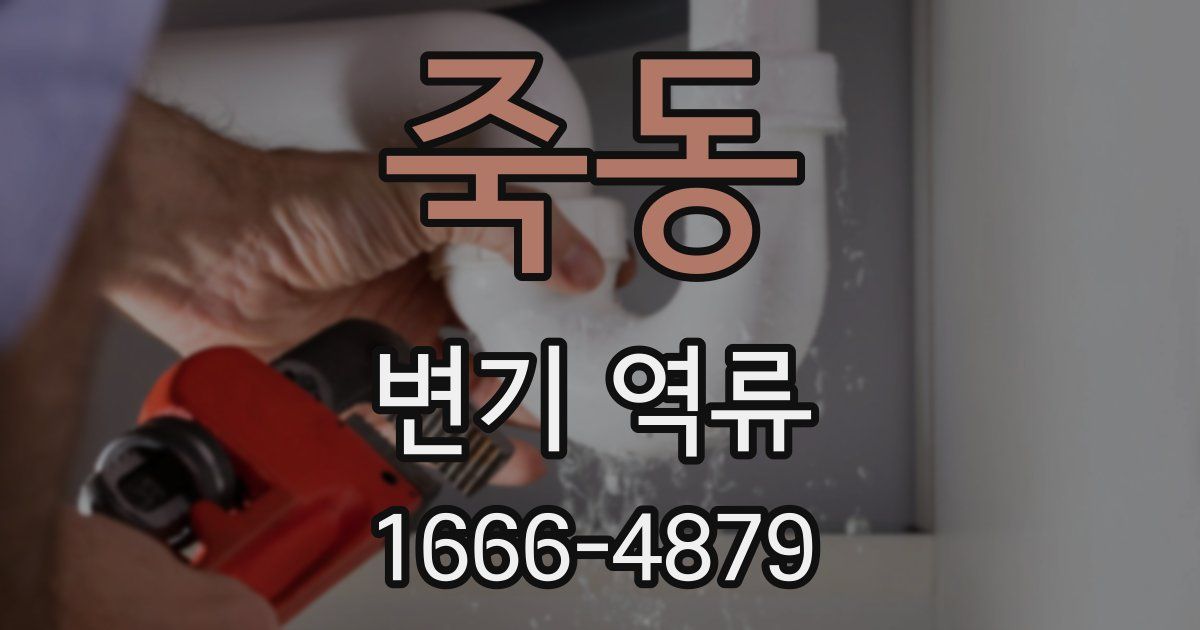 죽동 변기 역류