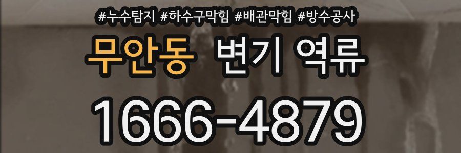 무안동 변기 역류